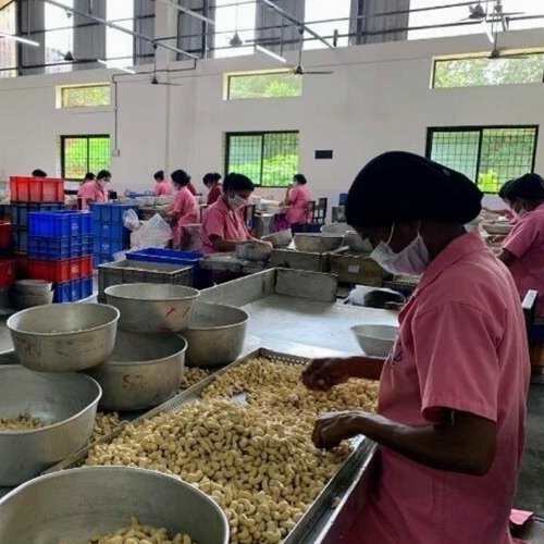 Cashew Processing Floor 2