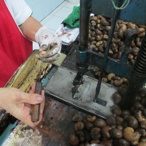 Cashew Processing Floor 6